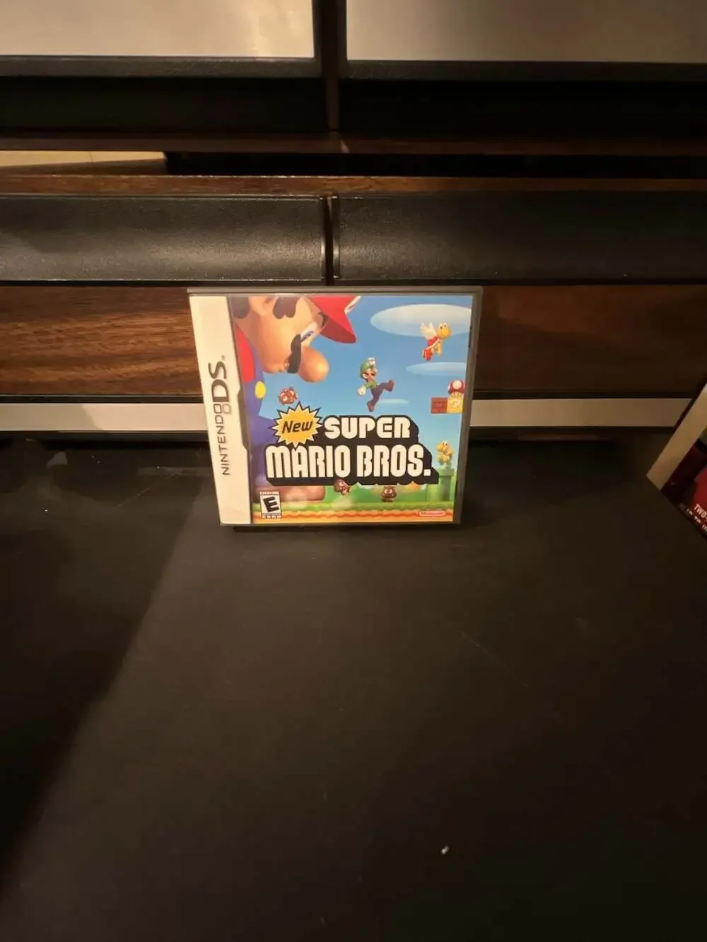 New Super Mario Bros. Nintendo DS Game Case and Manual Only